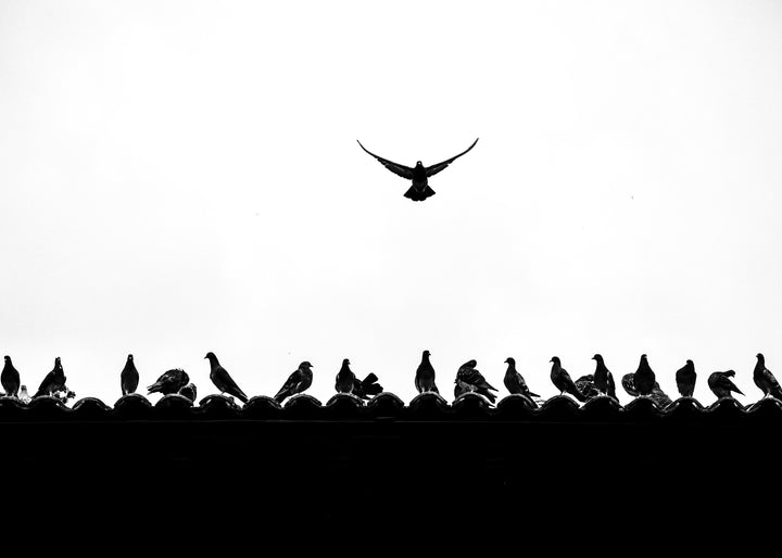 Influir